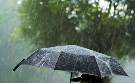 Ертең еліміздің басым бөлігінде жауын-шашын болады