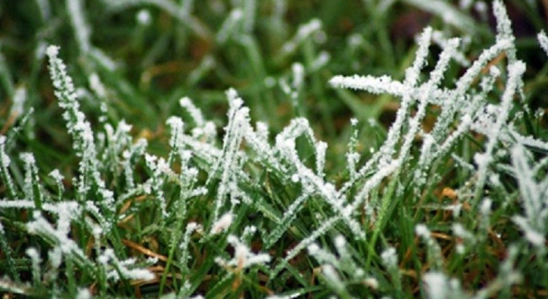 Елдің шығысында 3 градусқа дейін үсік жүреді