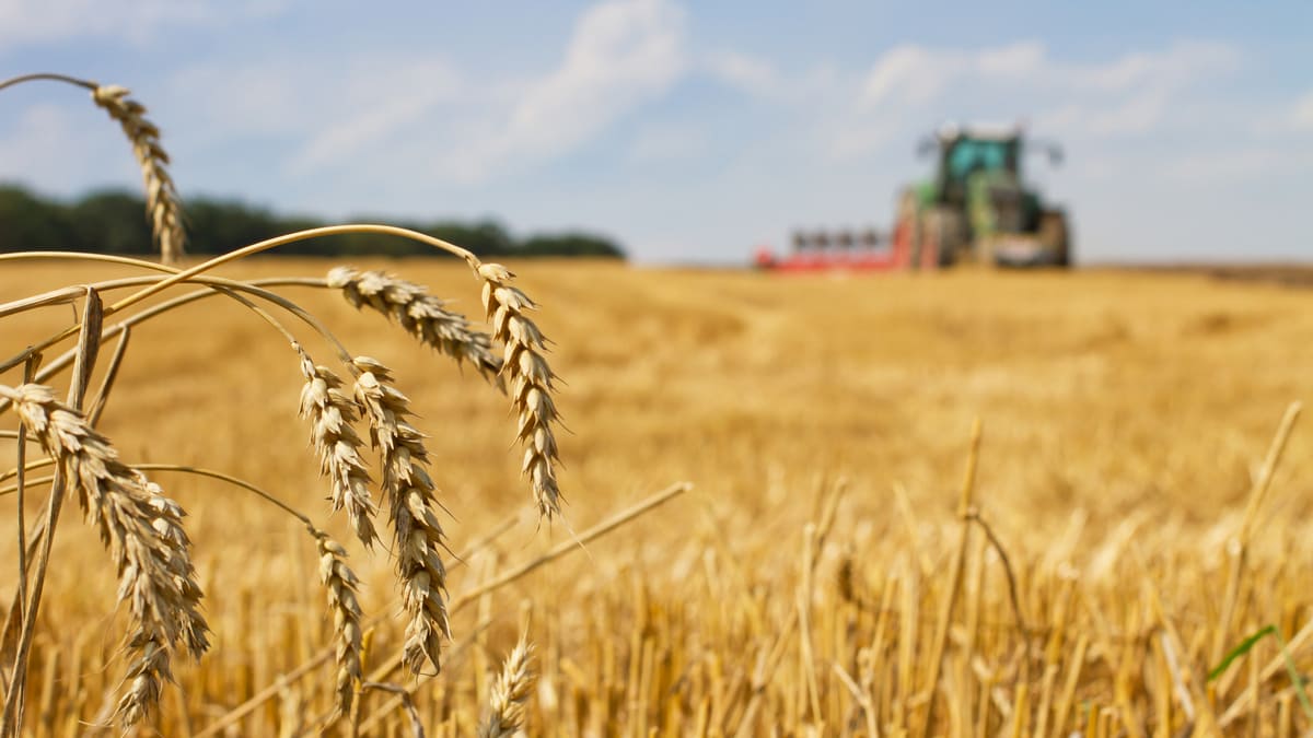 Ауылға назар ауып тұр