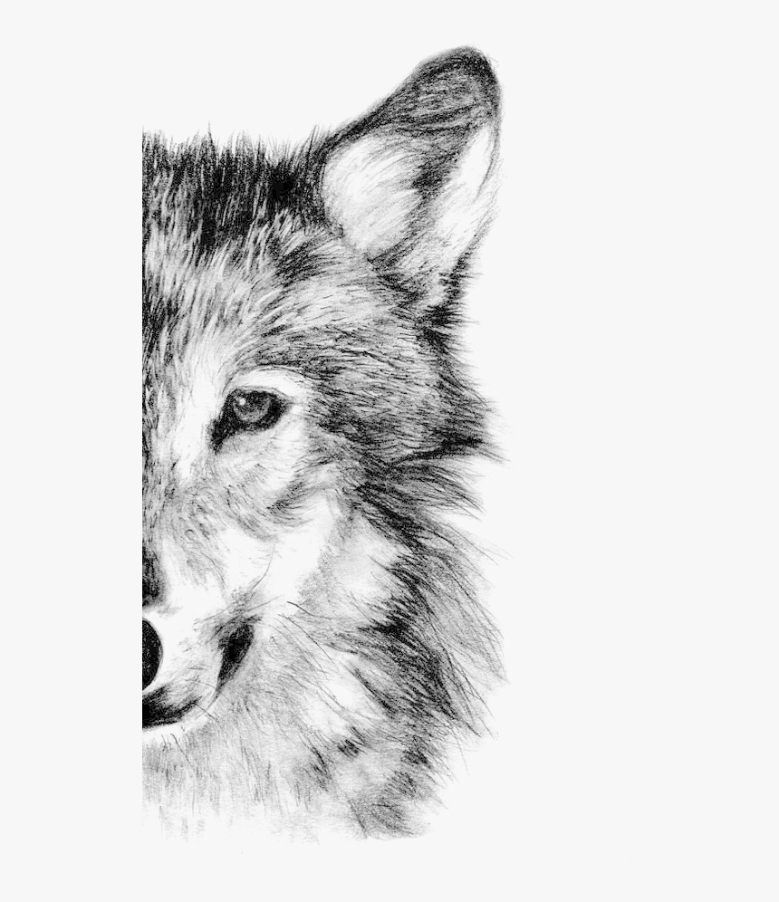 Аңшының әңгімесі