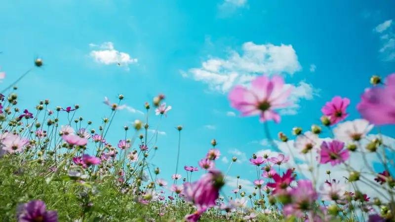 Бүгінгі ауа райы болжамы қандай?