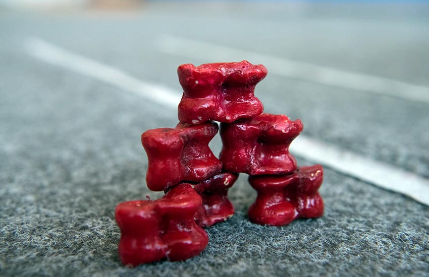 Асық атудан жеткіншектер арасында ел чемпионаты өтеді