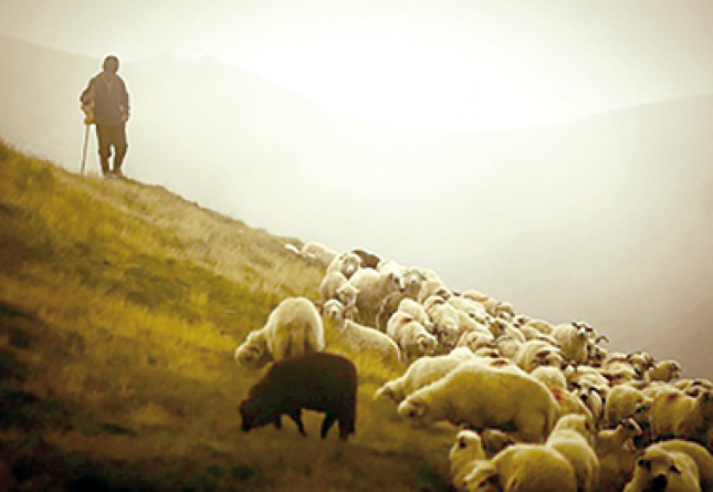 Қой бағып кеткен: Ақмола облысында ер адам бір аптадан бері табылмай жатыр