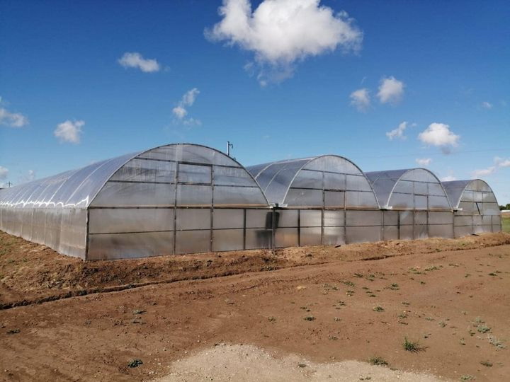 Жыр болған жылыжай кімдікі?