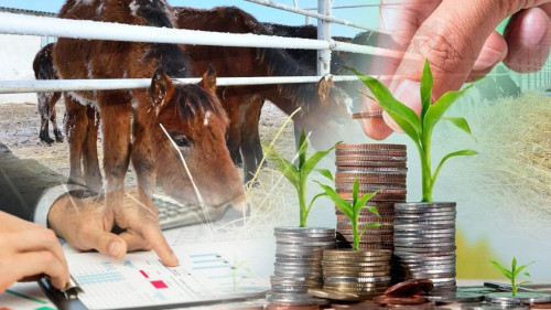 Су тасқынының салдары мал бағасына әсер ете ме?