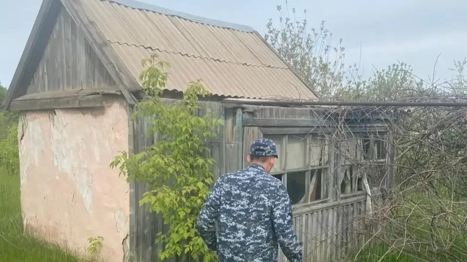 Павлодарда қаңырап бос қалған саяжайларға үйсіз қалғандар қоныстанған