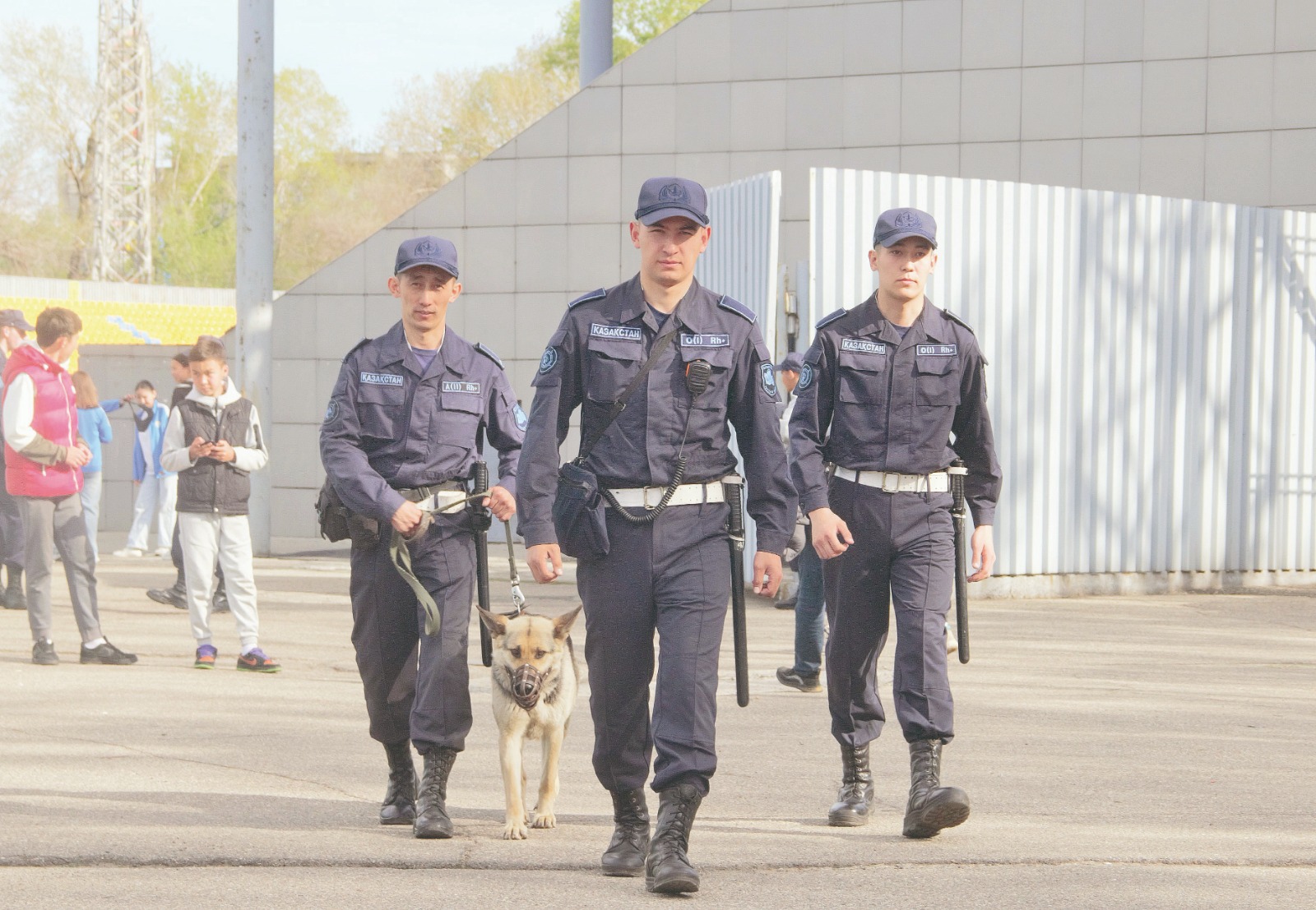 Қырандай қырағылық танытты