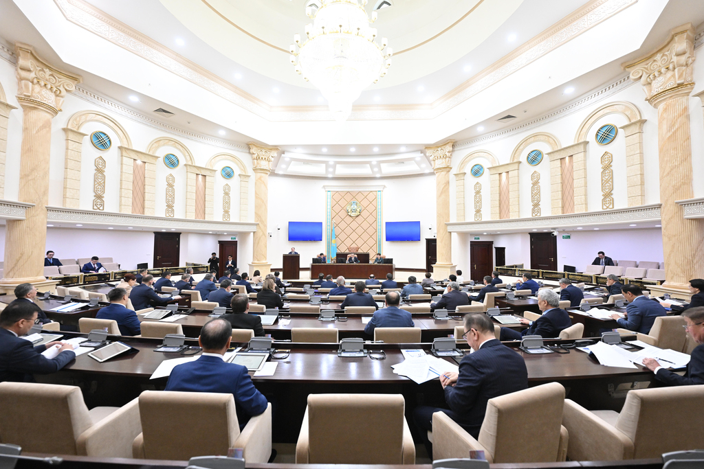 Палата отырысы: Сенаторлар қандай мәселелерді көтерді?