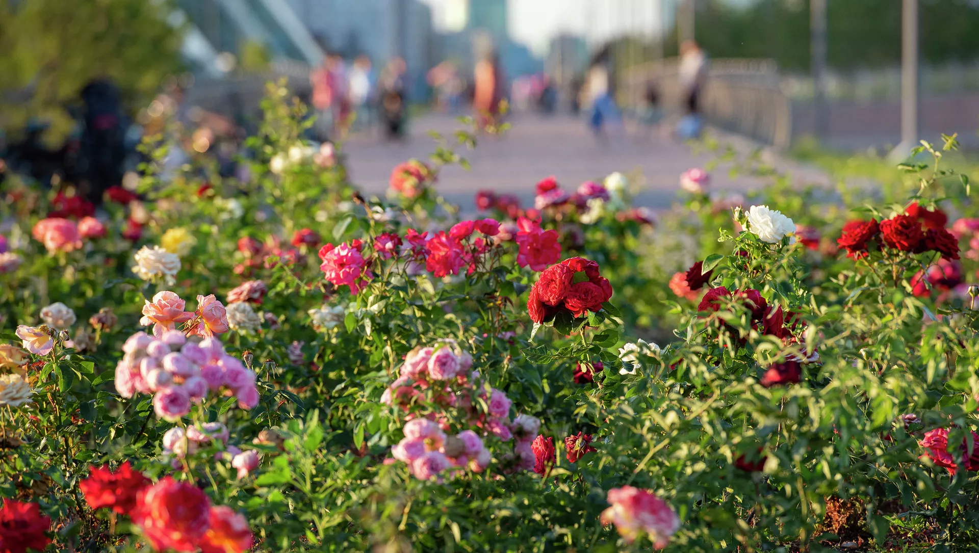 Синоптиктер алдағы үш күнге арналған ауа-райы болжамын ұсынды