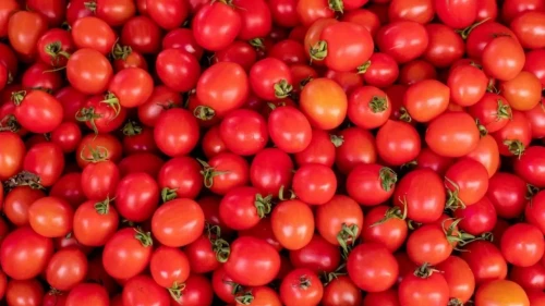 Шетелден әкелінген 60 тонна қызанақ өнімі кері қайтарылды