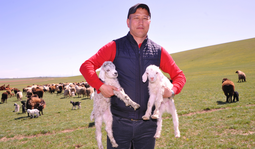 Кербұлақ шаруасының көңілі шат