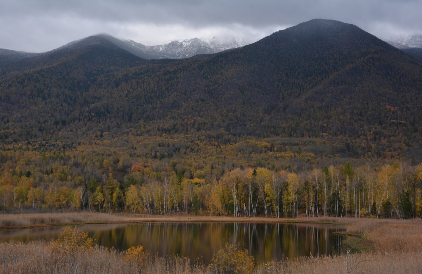 Алтайдың күзі ғашық етпей қоймайды