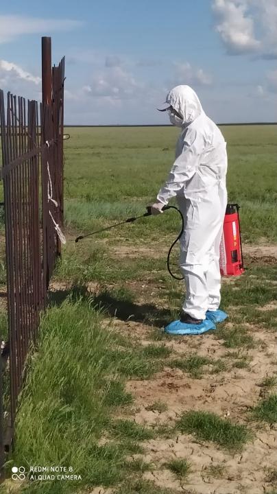 Шіркей Жайық жұртын шаршатып тұр