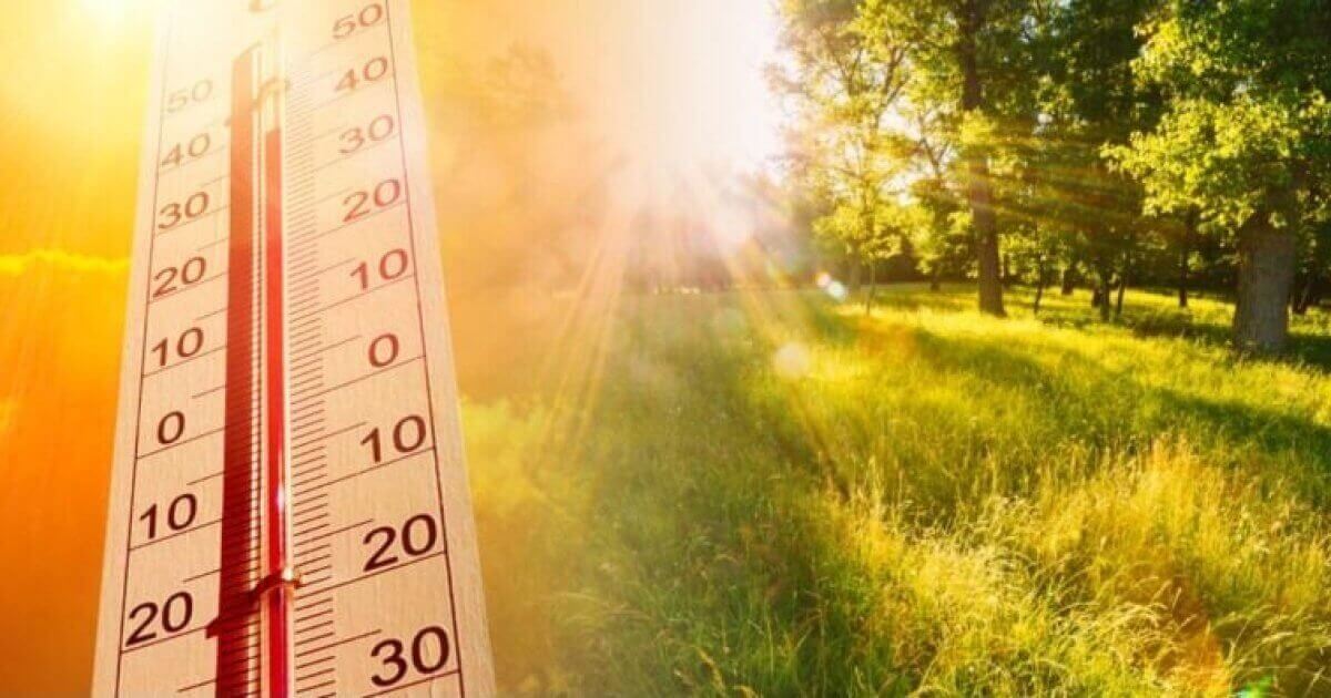 43 градус ыстық: Синоптиктер аптап ыстық болатын өңірлерді атады