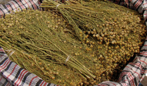 Ресейге адыраспан кіргізгендер сотталады