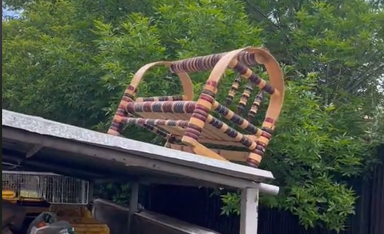 Қазақтың бесігі қоқыста жатыр: Астанада болған оқиғаның бейнежазбасы көпшілікті шошытты