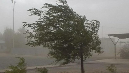 Қостанай облысында қатты жел ғимараттардың шатырын ұшырып әкетті