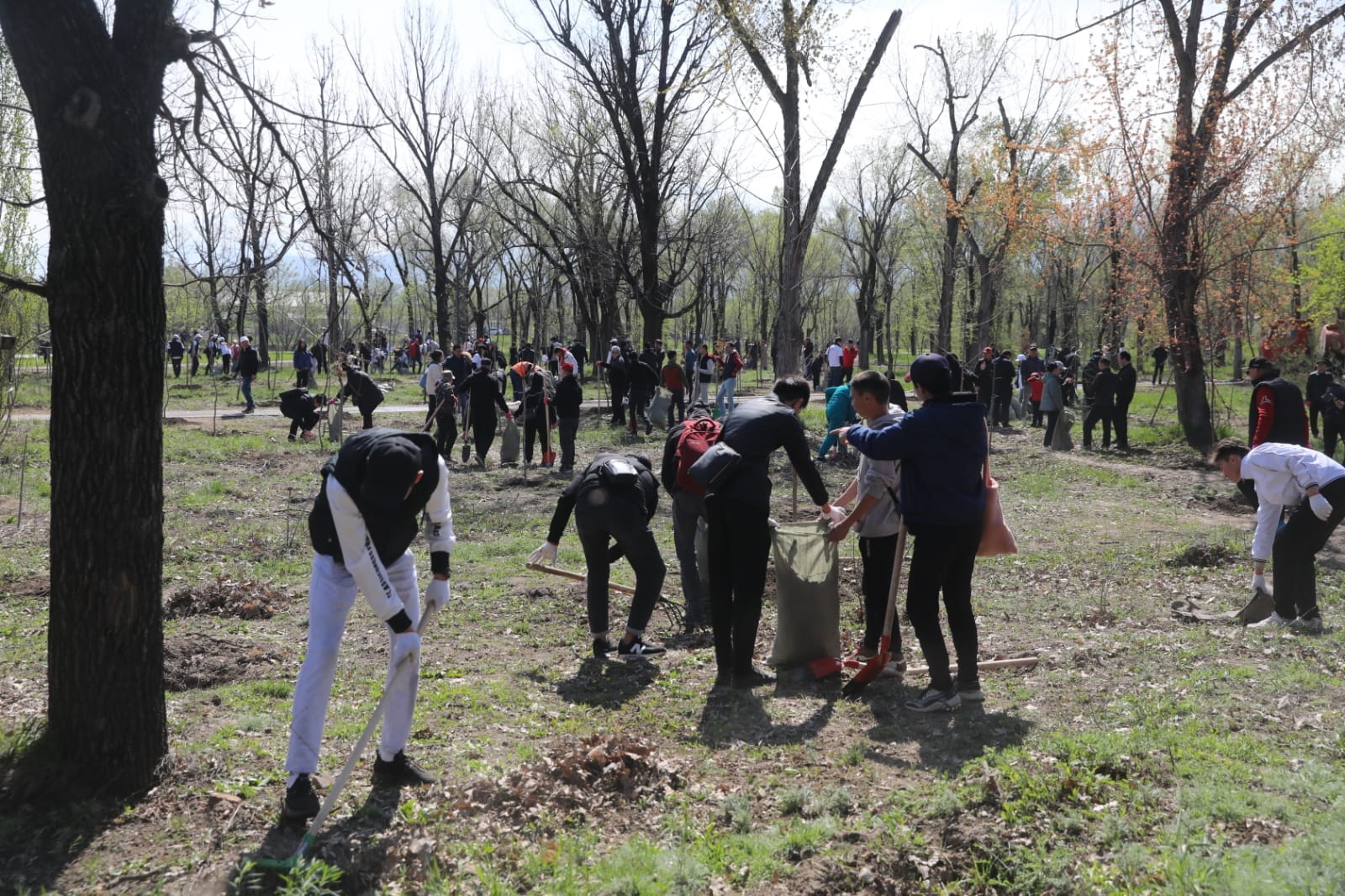 Алматы жалғыз, біз көппіз