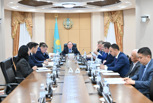 Сенатта отандық жылқы шаруашылығын дамыту және қолдау туралы заң қаралды