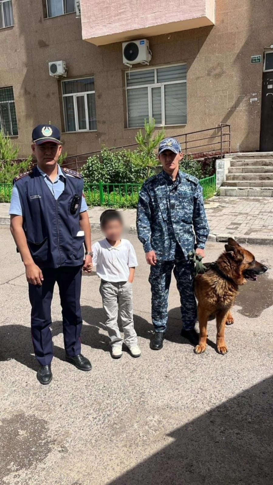 Жоғалған бала иттің көмегімен табылды