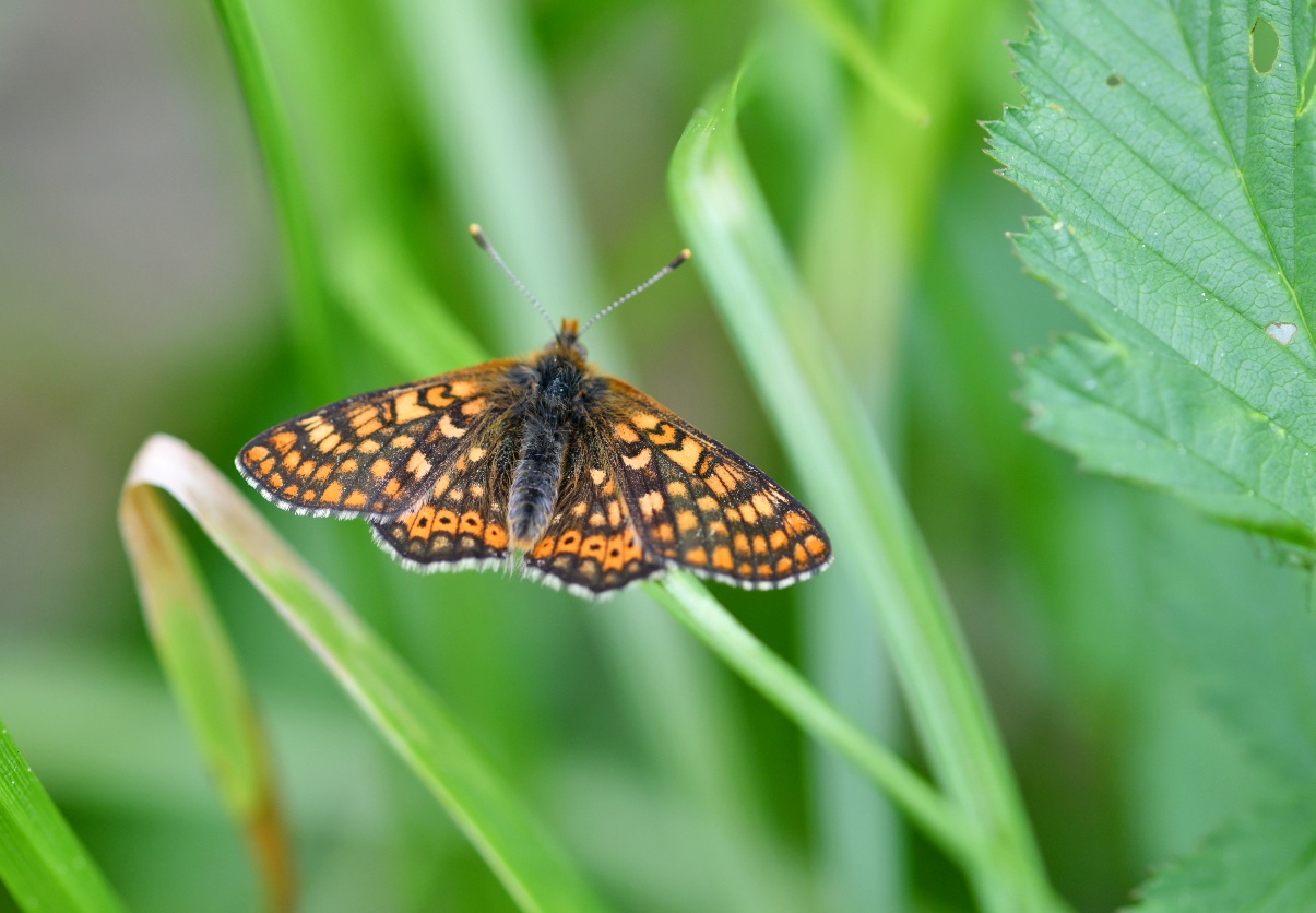 Ертең елімізде ауа райы қандай болады?