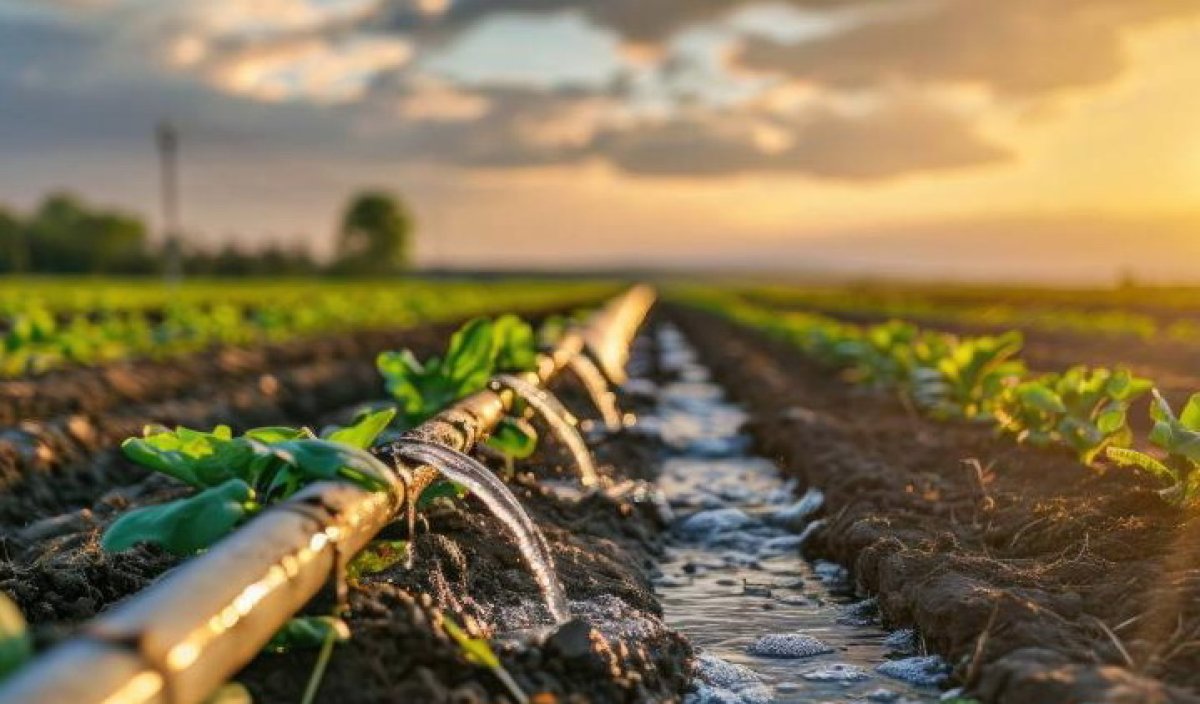 Қызылордалық шаруаларға 1,25 млрд текше метр су жіберілді