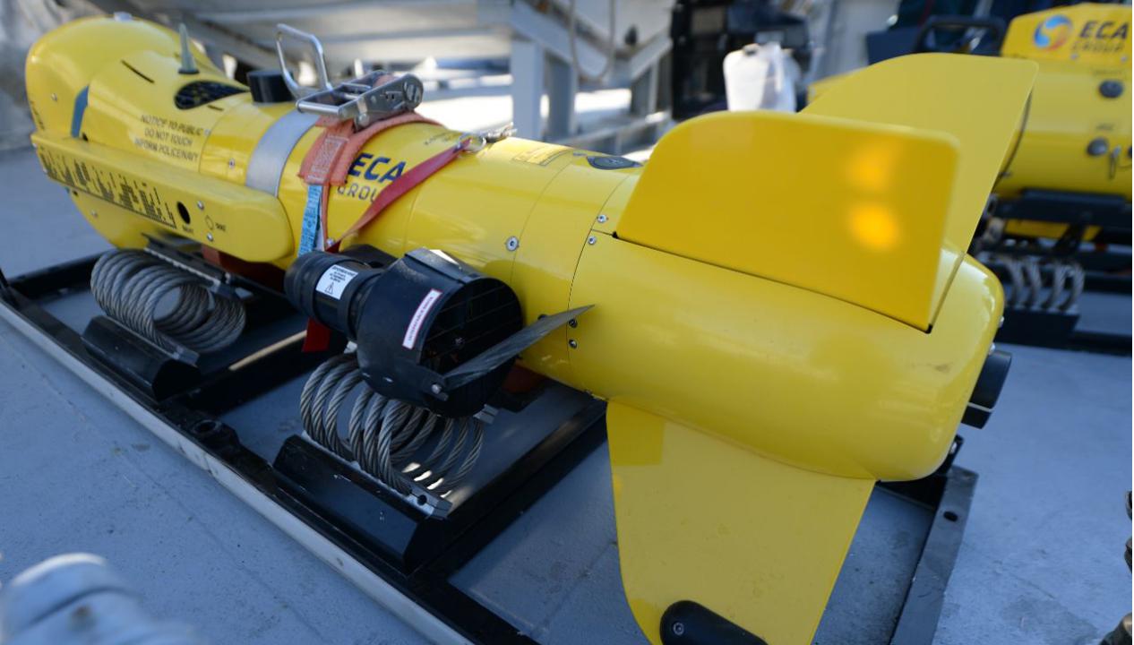 Роботтехника – алғырлар бәсекесі