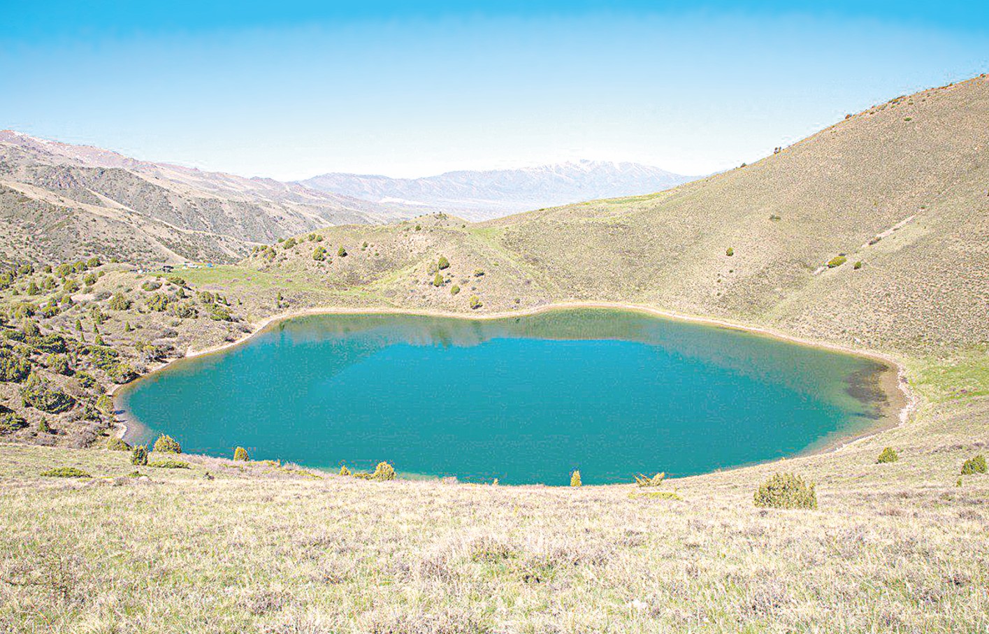 Келбеті көз арбаған Көккөл