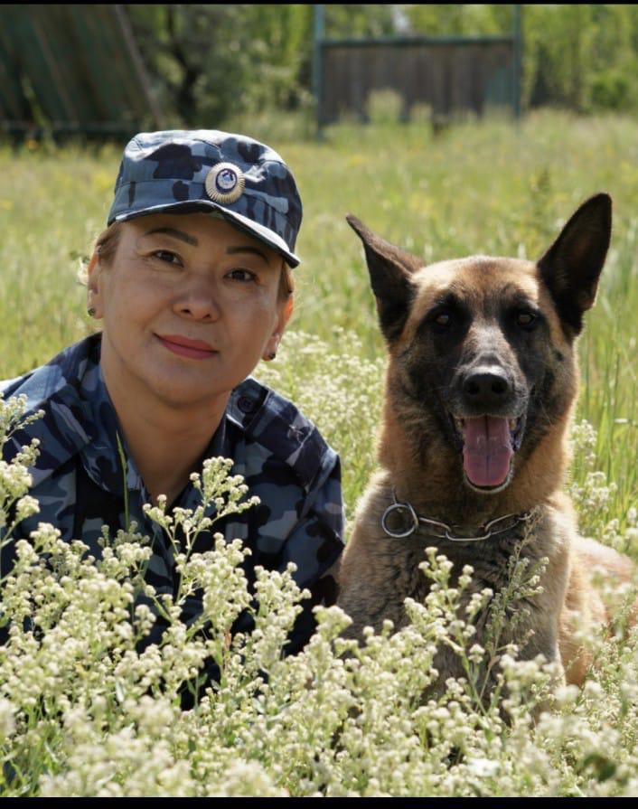 Кәсіби кинолог