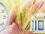 Агробанк мәселесі байыпталып жатыр