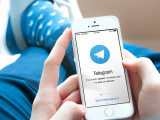 Мемлекеттік қызметтерге қатысты шағымдар Telegram-бот арқылы қаралады