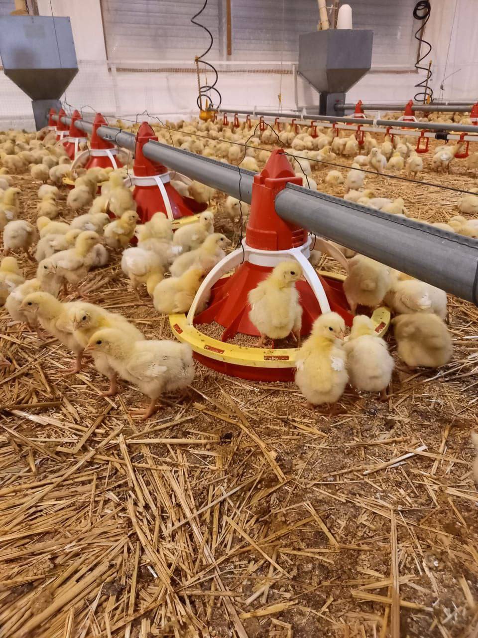 Әлеуеті артқан фабрика