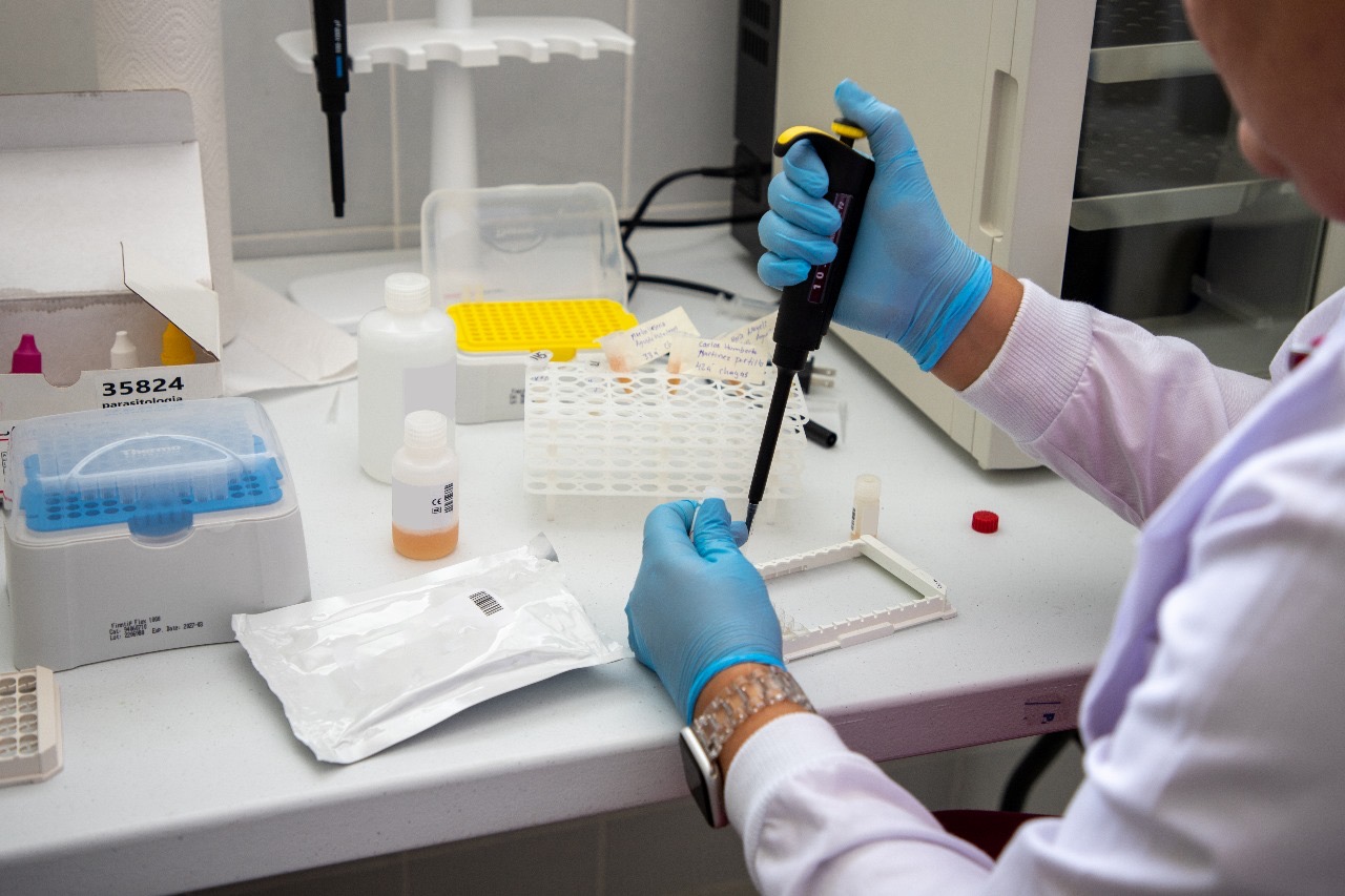 Тұқым қуалайтын ангионевроздық ісікті тегін анықтайтын бағдарлама іске қосылады