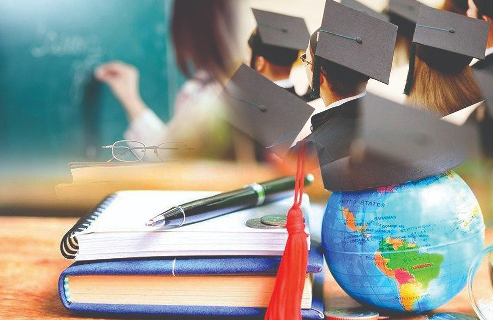 Елімізде ауылдық және қандас квотасы бойынша грант қалай бөлінеді?