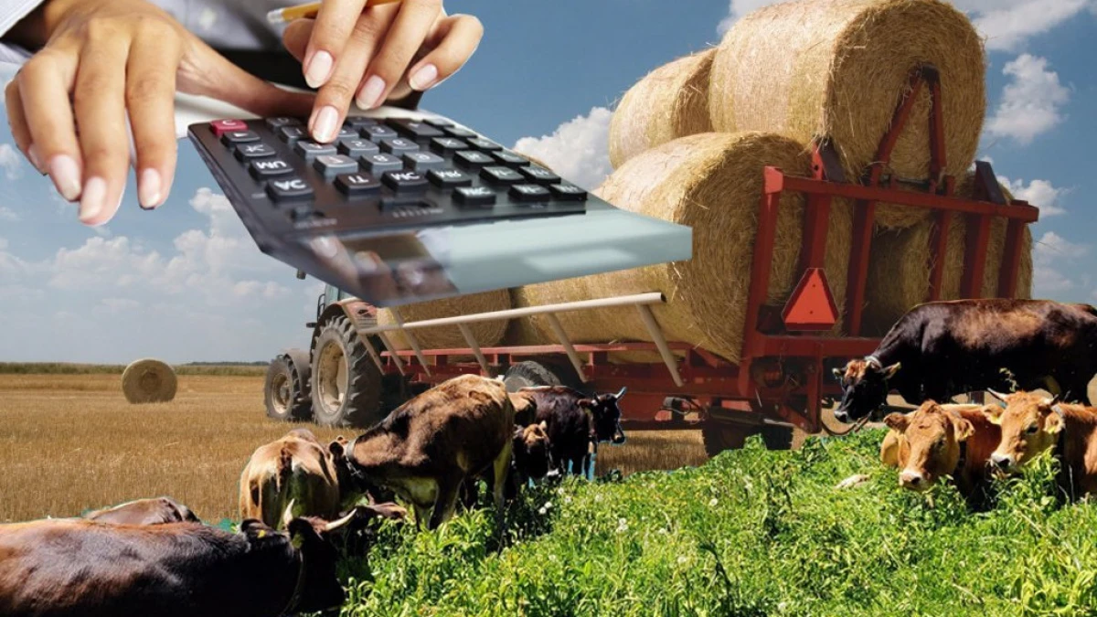 Ауыл кәсібін серпілтетін бастама