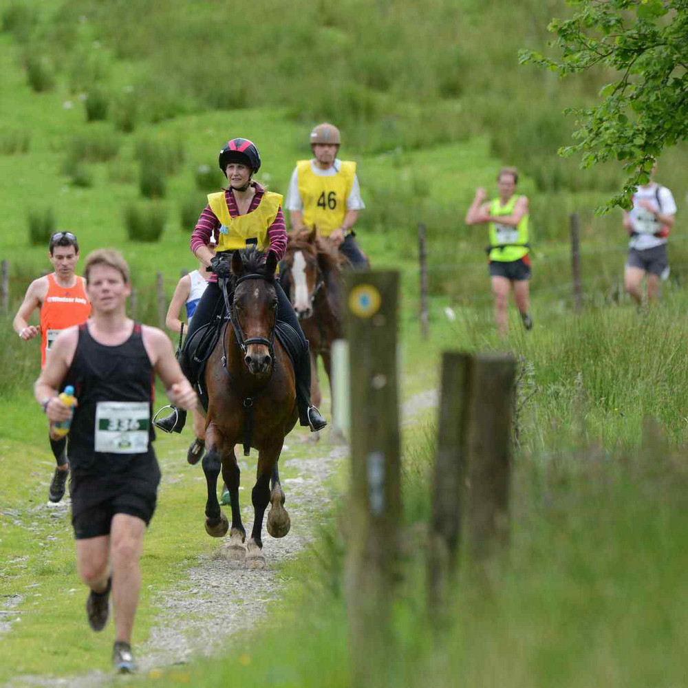 Жылқыдан жүйрік желаяқ