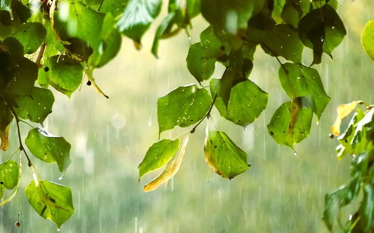 Аптап ыстық пен жауын-шашын: 9 шілдеге арналған ауа райы болжамы