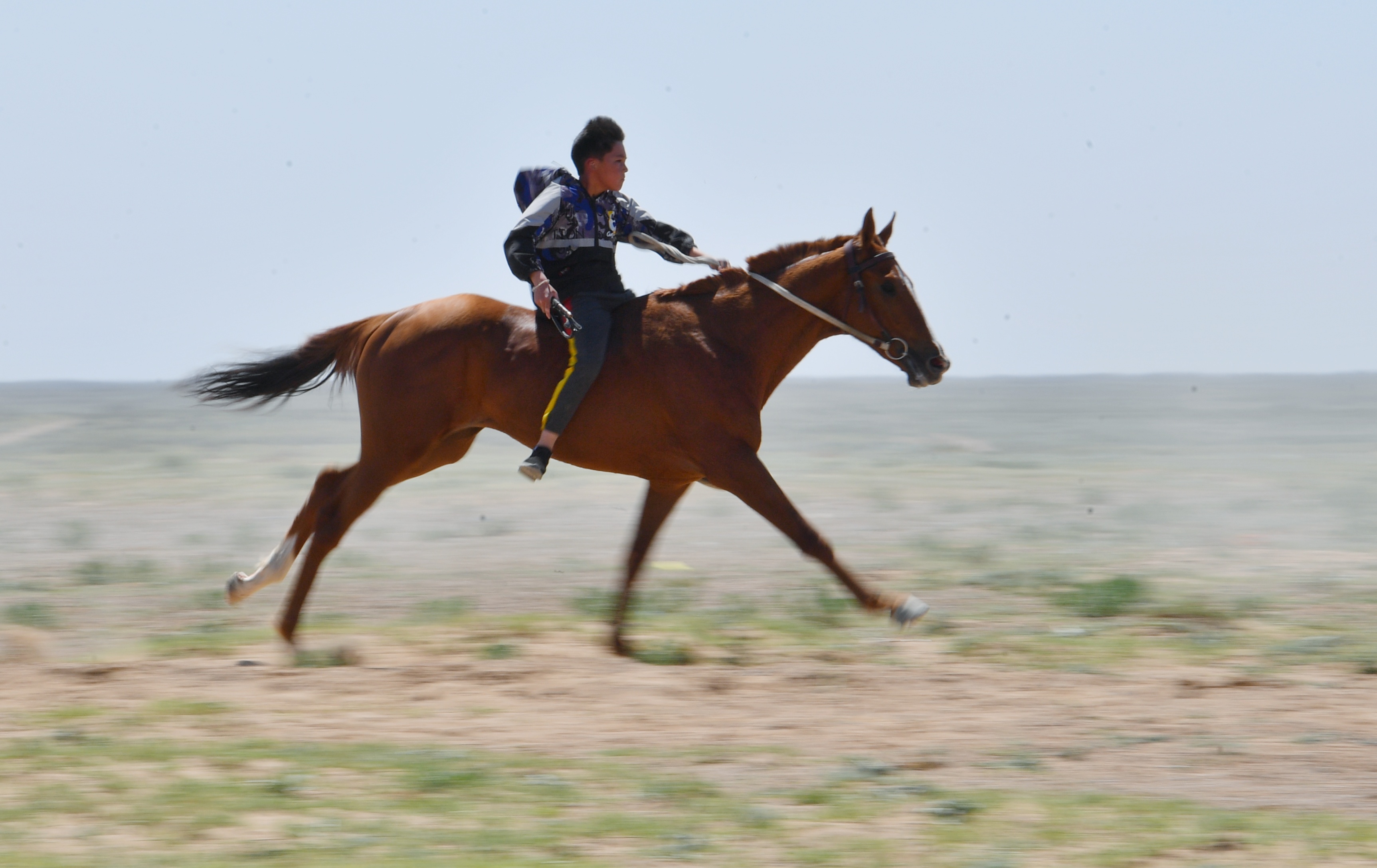 Отандық жылқы тұқымын сақтау туралы заңға қол қойылды