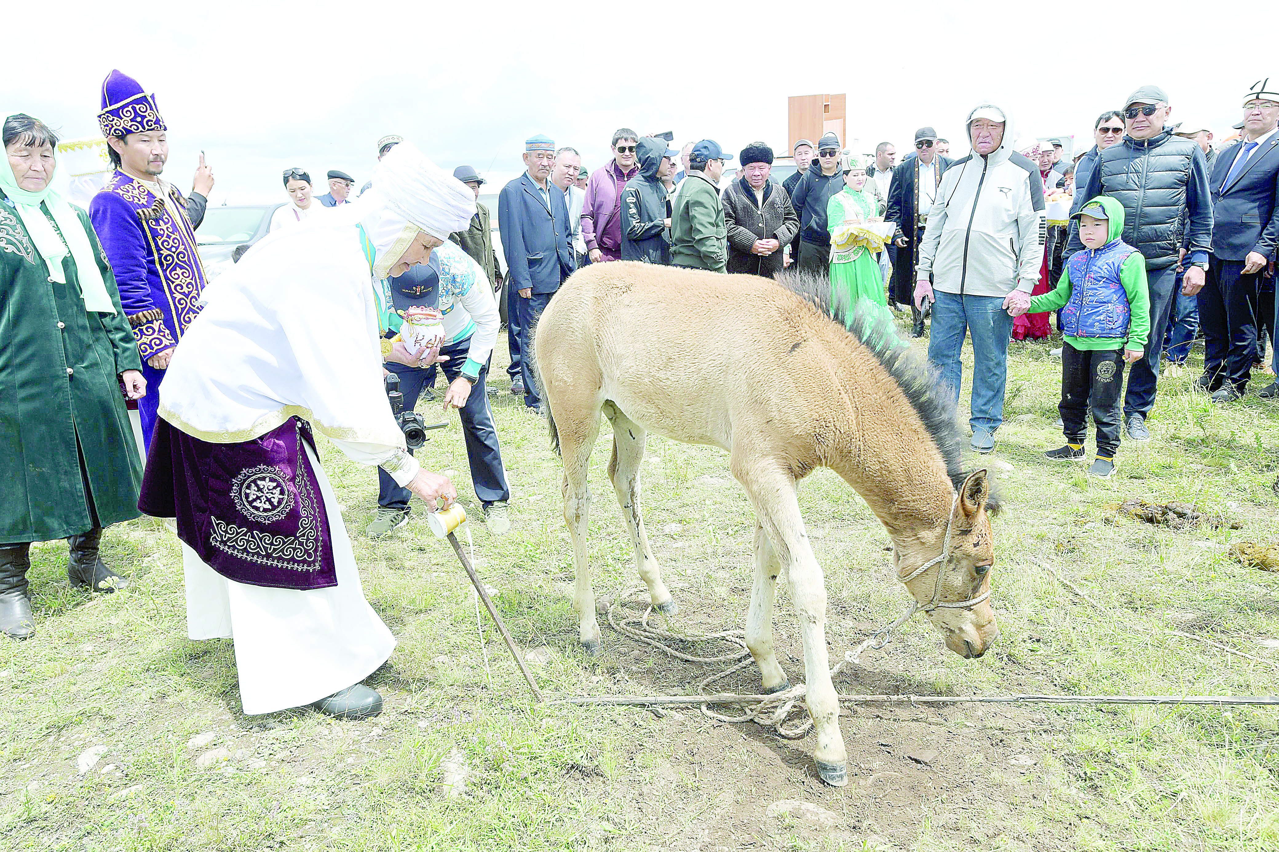 Қарқара төріндегі қымызмұрындық