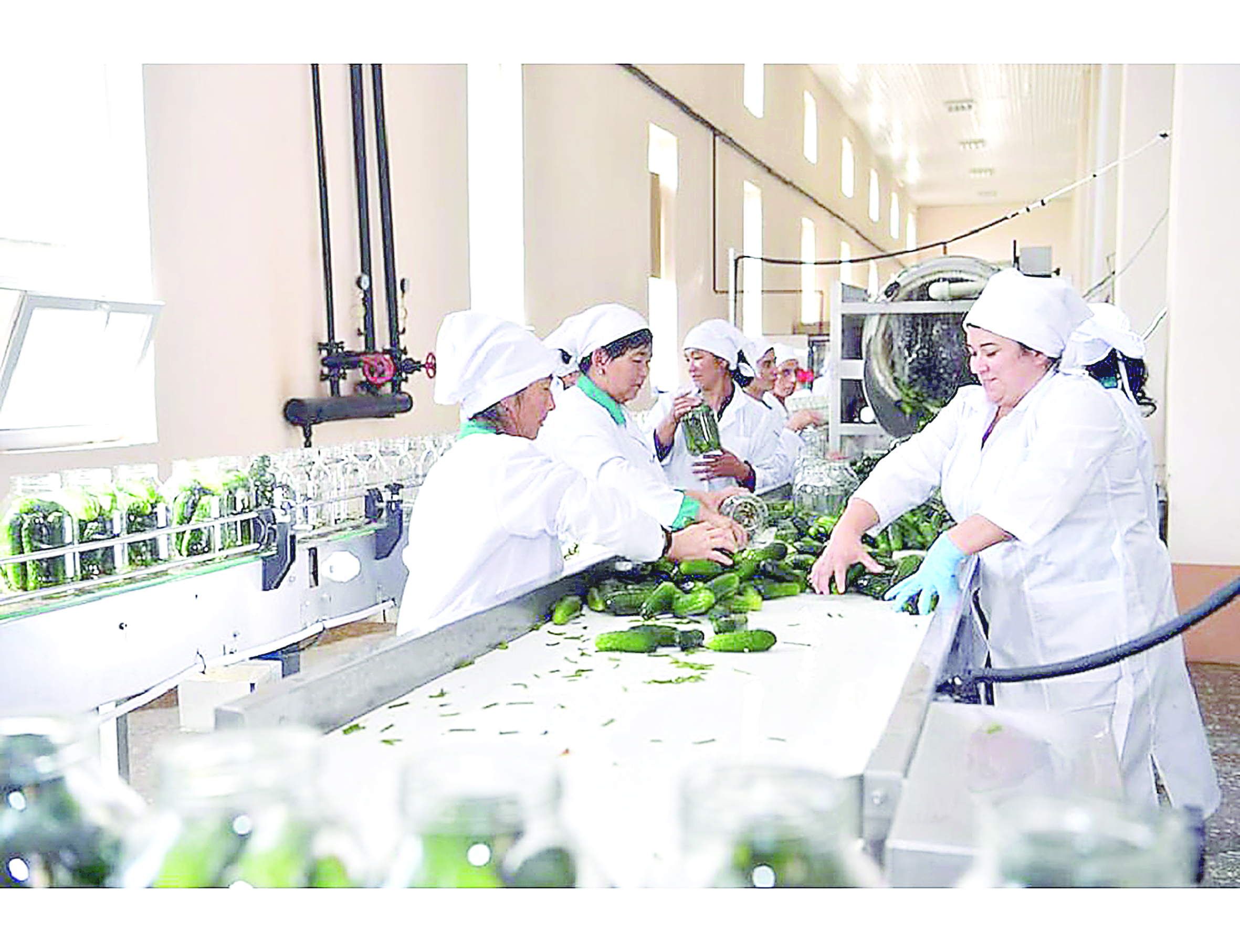 Ауыл шаруашылығының әлеуеті артты