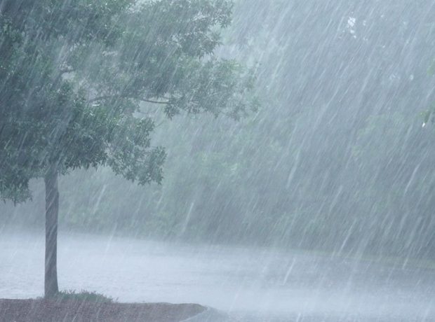 Алдағы күндері еліміздің басым бөлігінде жаңбыр жауады