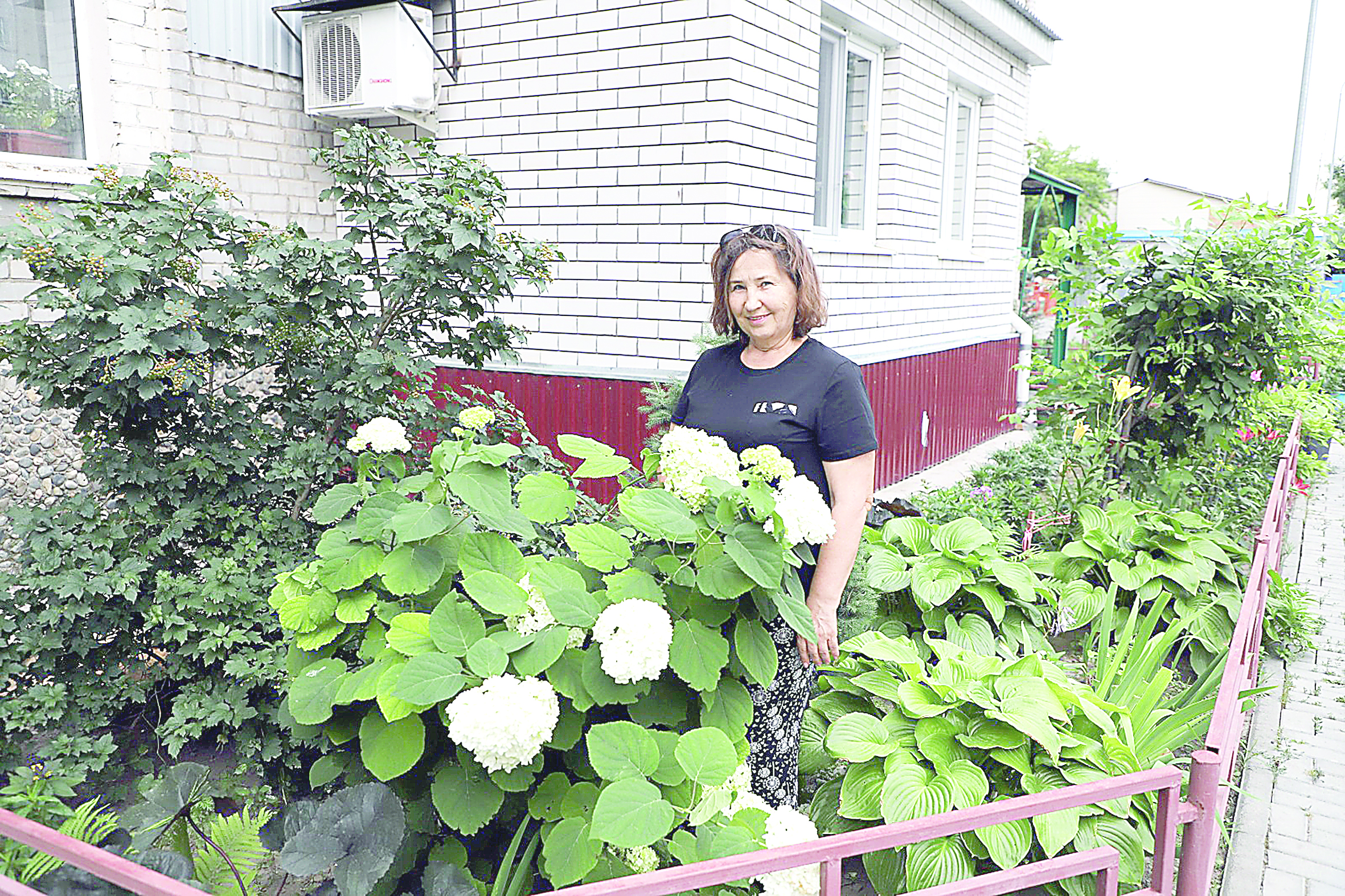 Ауласын гүлзар еткен тұрғындар