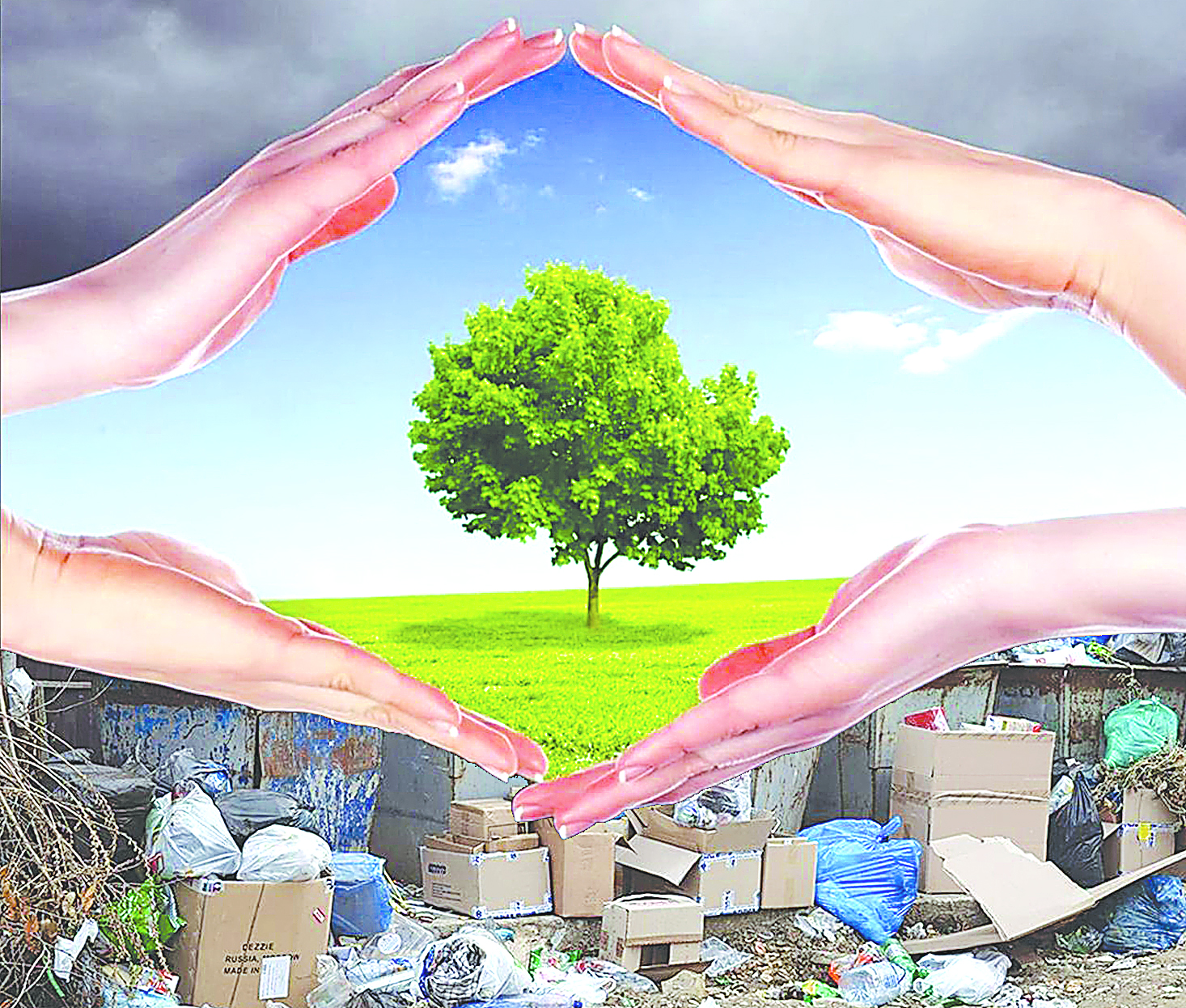 Табиғатты тәрбиемен аялау