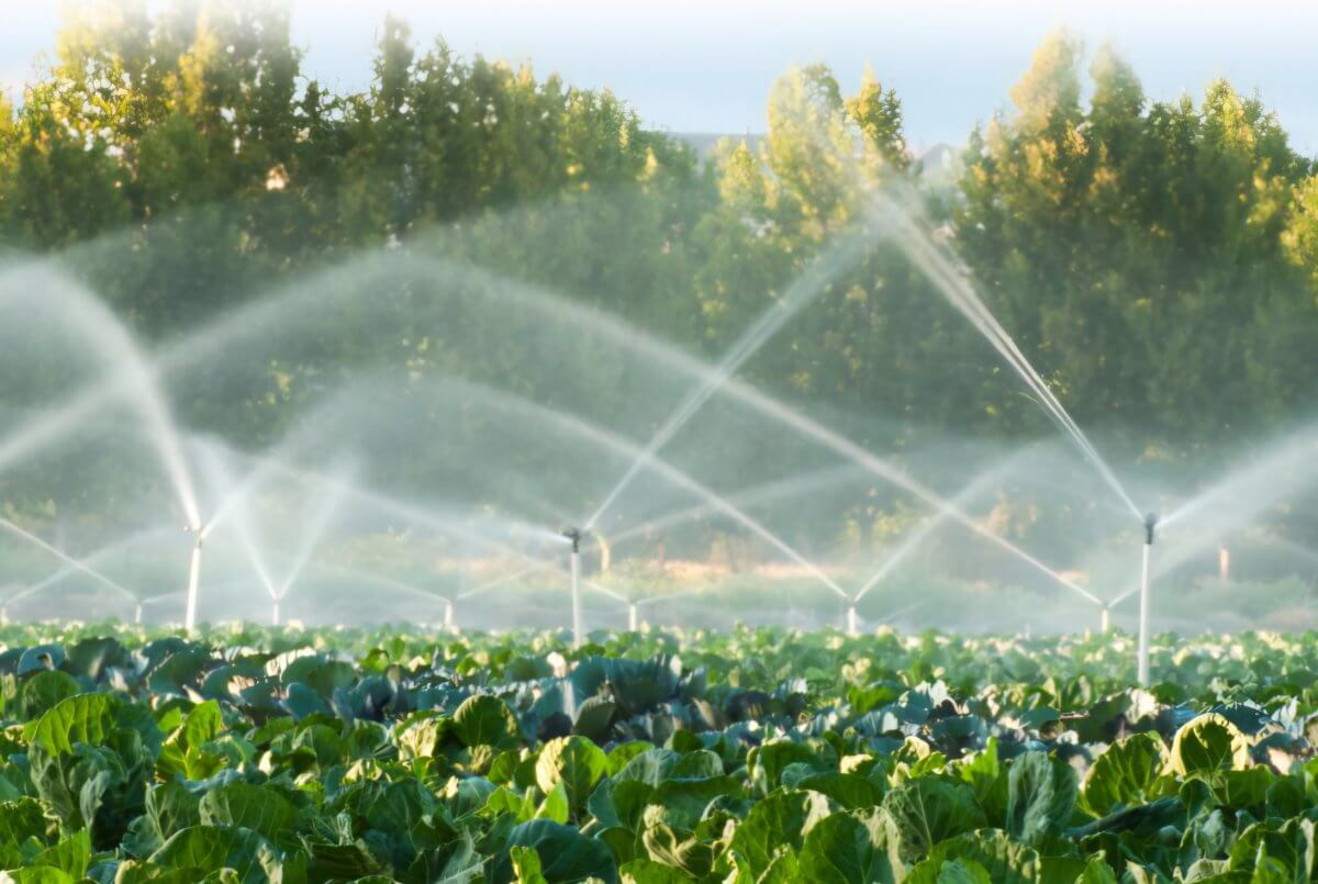 Елімізде ауыл шаруашылығына қанша су жұмсалады