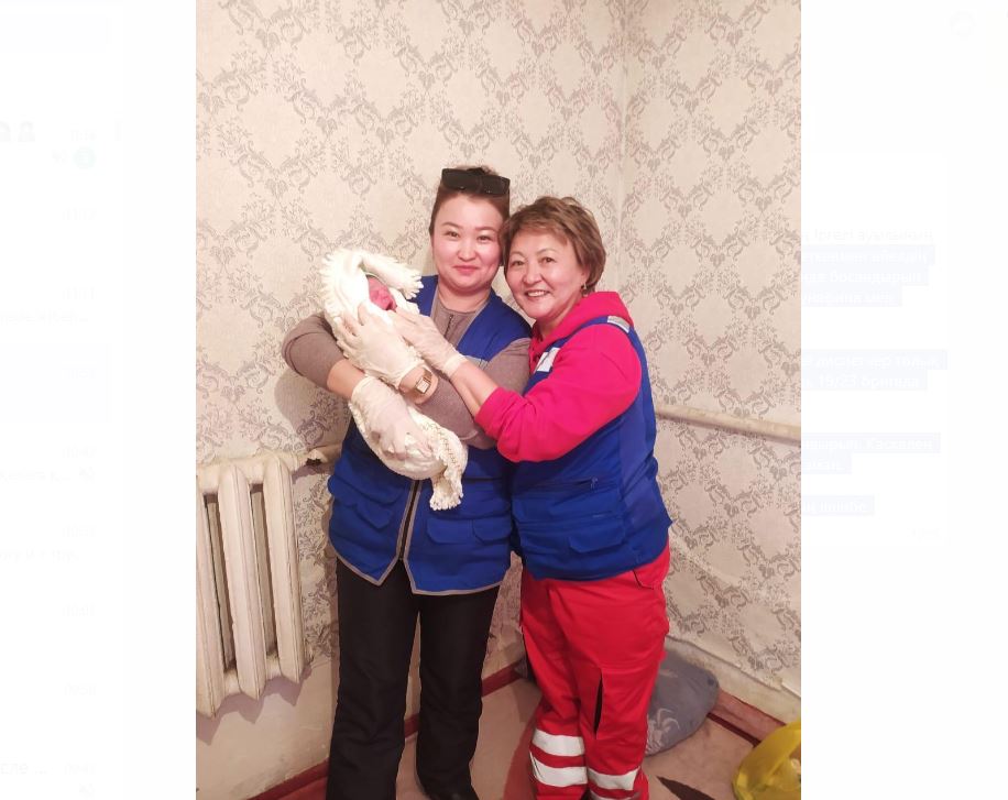 Жедел жәрдем қызметкерлері әйелді үйінде босандырып алды