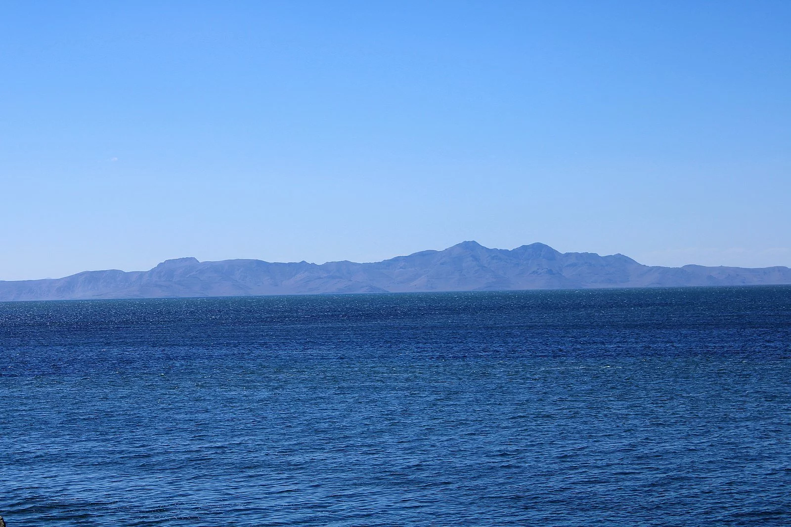 Су заңнамасын бұзғандарға айыппұл салынды