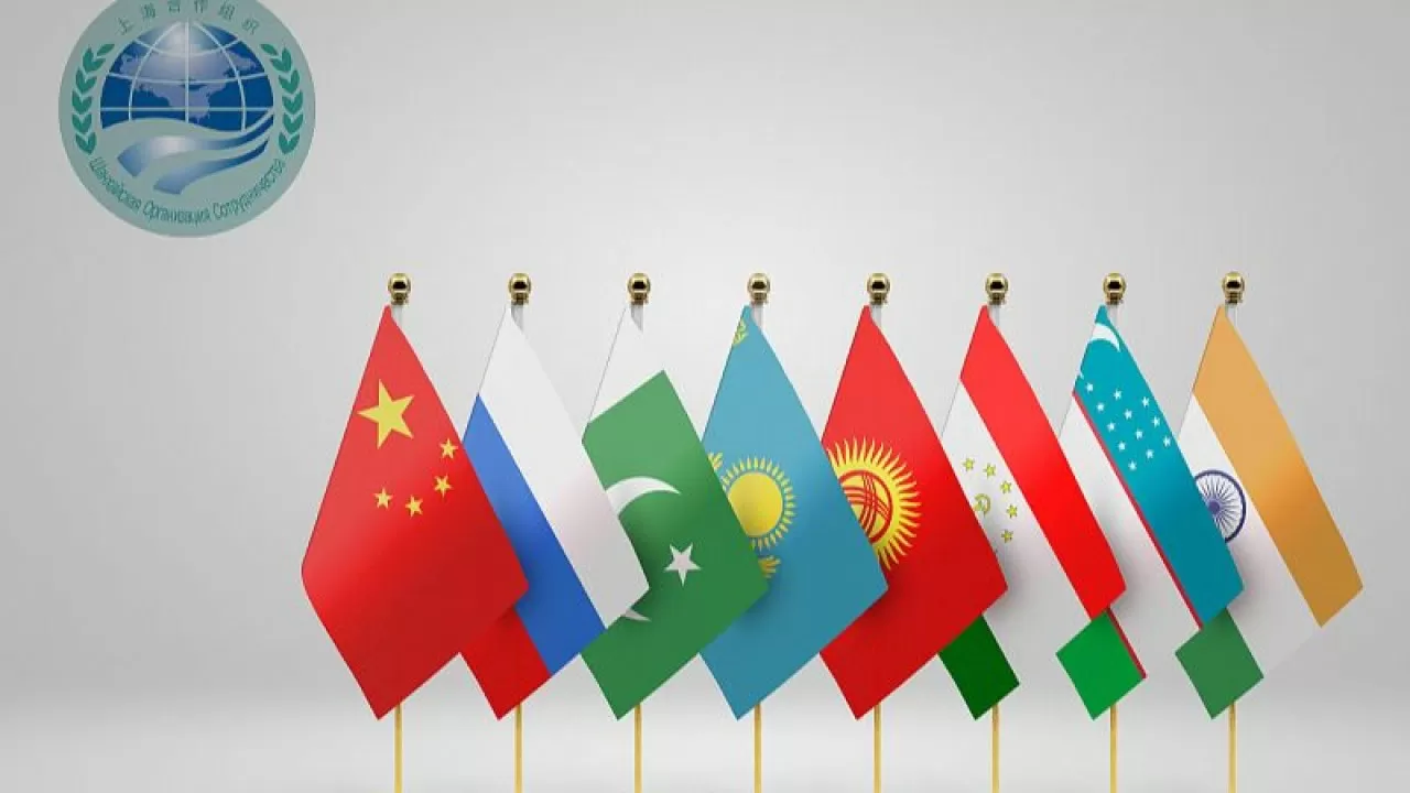 Әлеуеті  зор ұйым