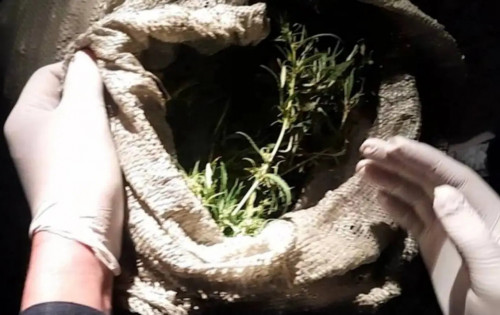 Тараз тұрғыны ірі көлемде есірткі тасымалдаған