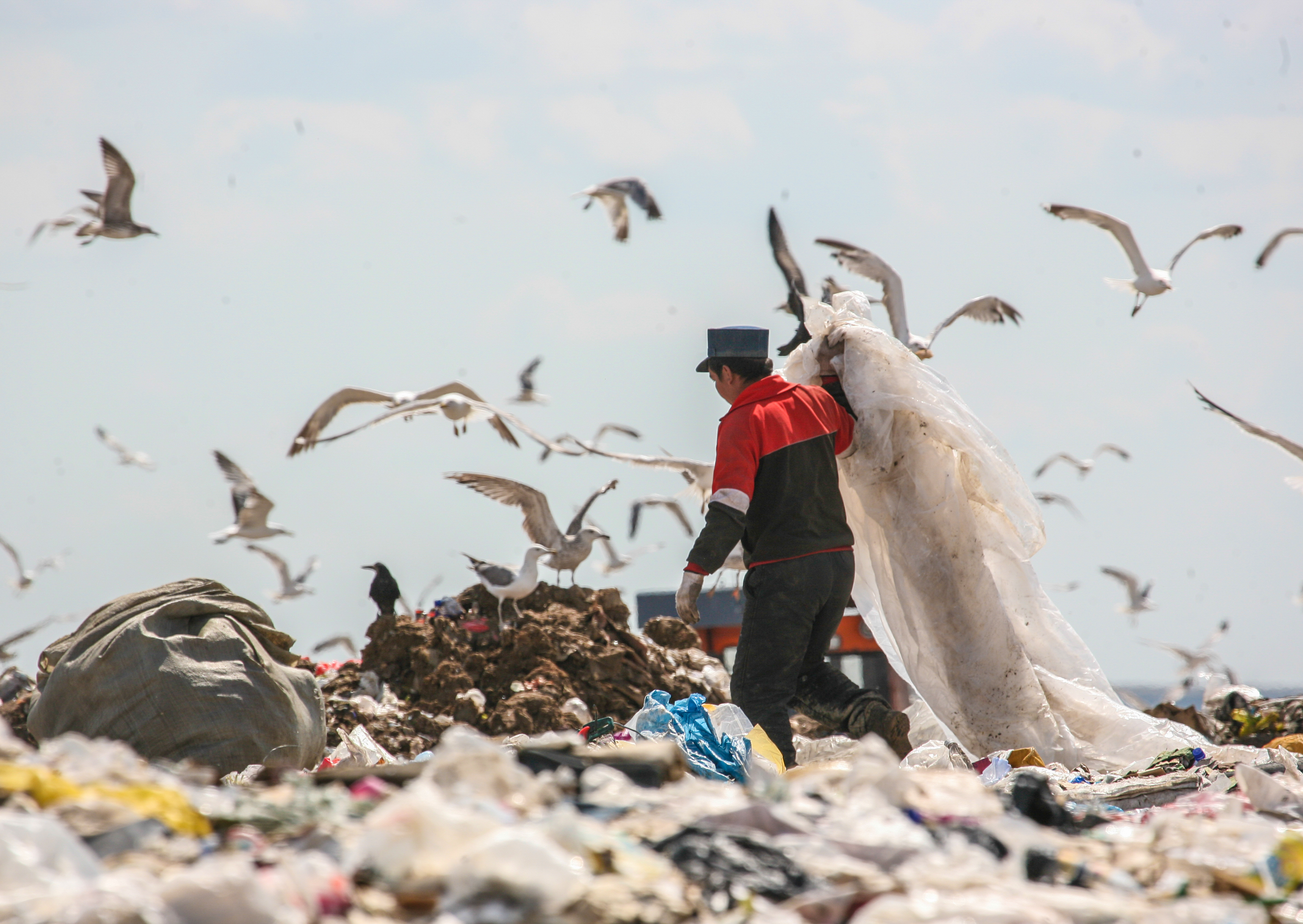 Миллиард теңге таудай қоқысты реттей ала ма?