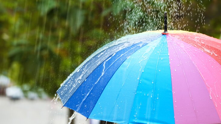 Жаңбырдан  энергия алды